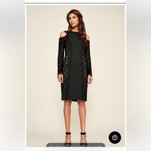 Tadashi Shoji Auden Neoprene Dress Black & Nude Lace Side Sheath Long Sleeve